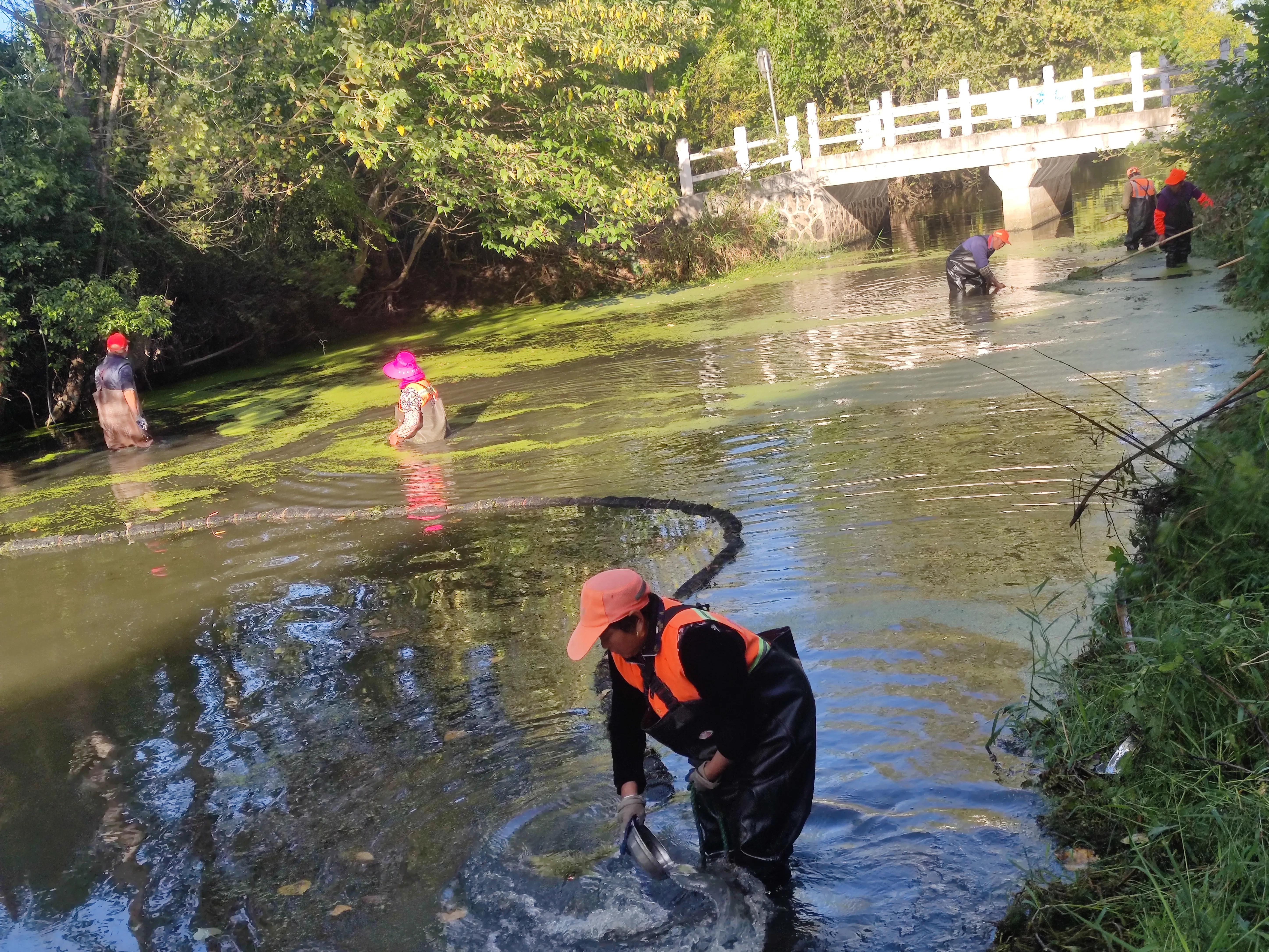 农村人是最美的劳动人,农民是最轻松的职业