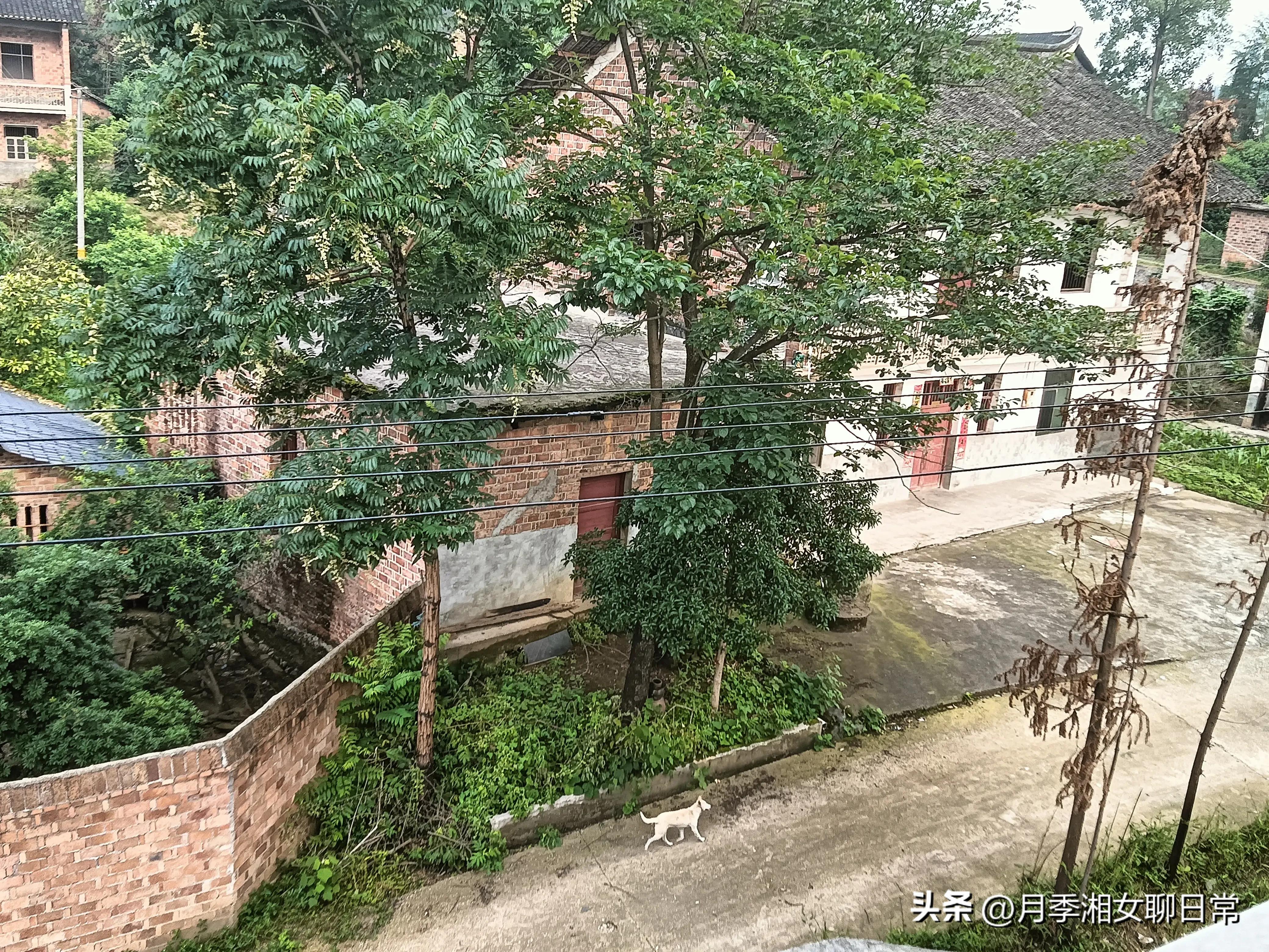 堂哥：在工地待久了的男人没有老婆在身边，日子很难过