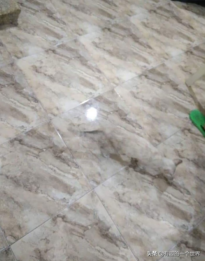 偶然记录的33个瞬间，初看很困惑，看懂后又觉得很妙