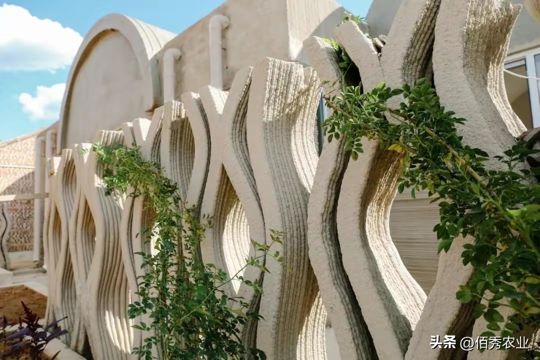 用3D技术“打印”的房屋，造价20多万，未来能在农村普及吗？