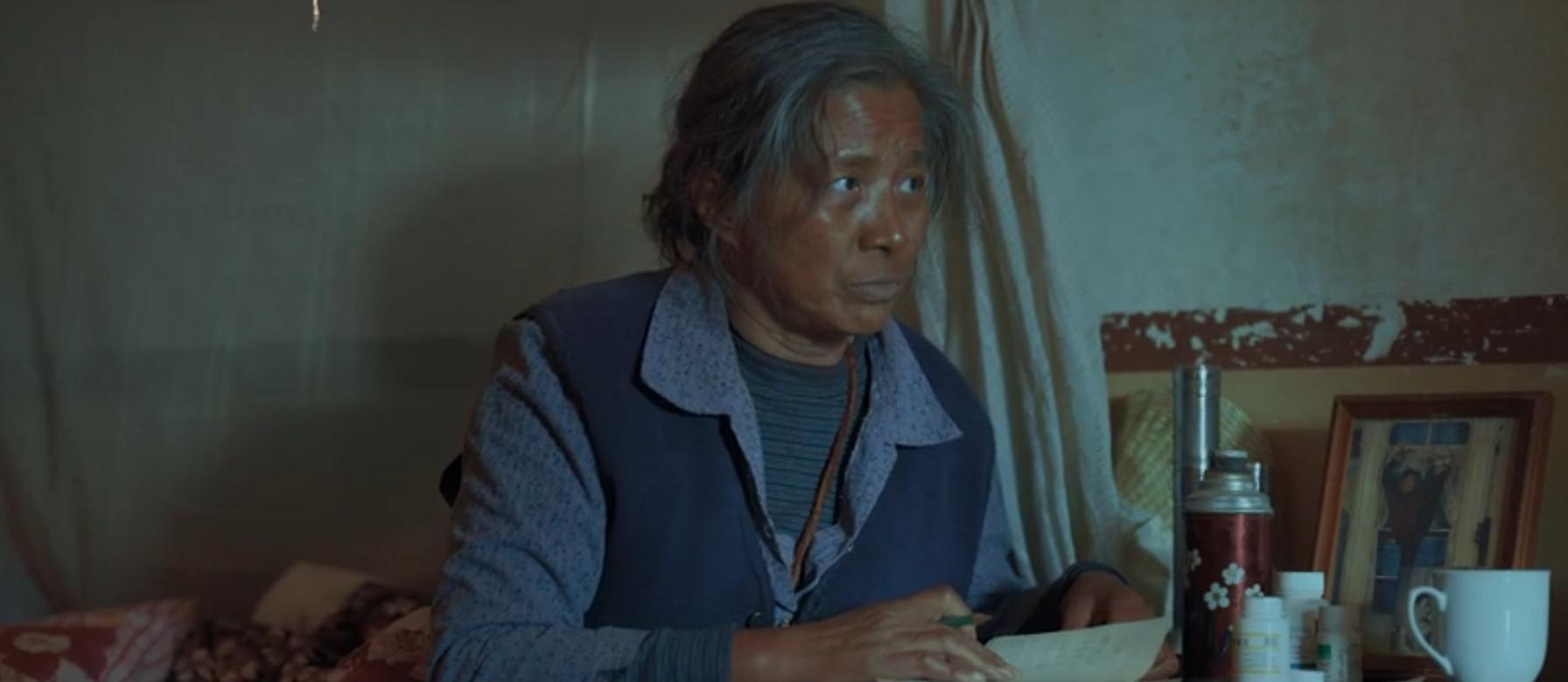 王宝强深度解析,王宝强成功的奥秘