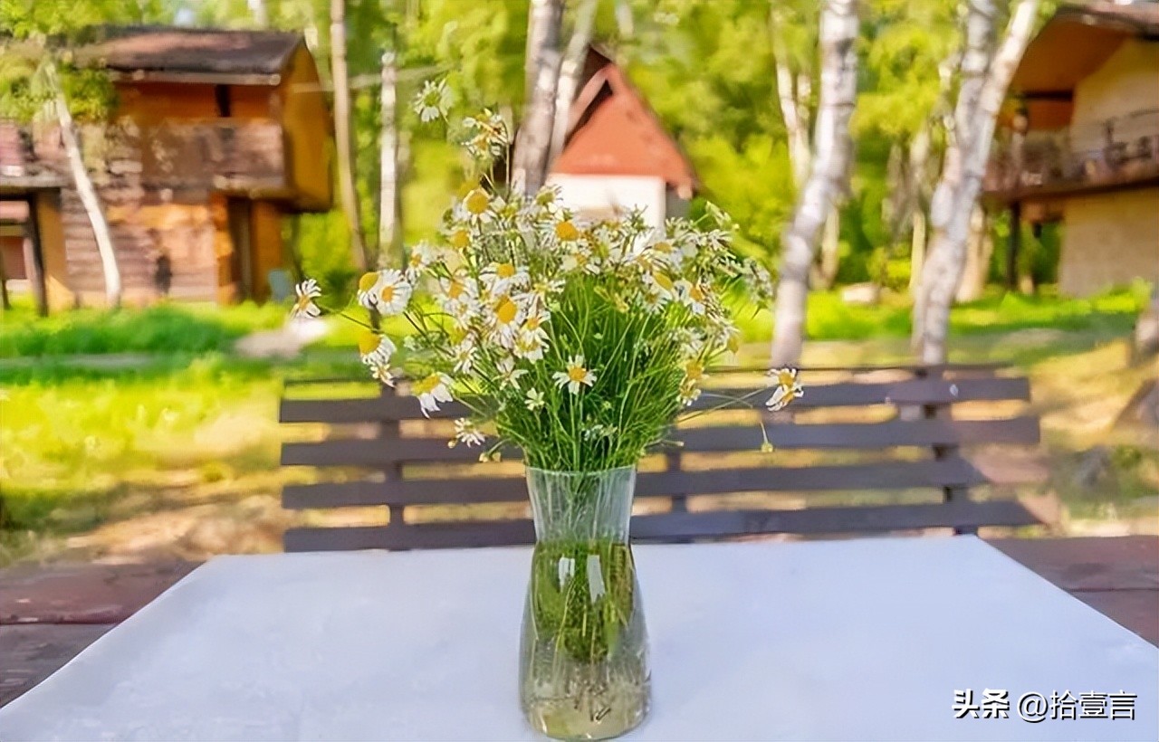 心累的时候给自己一段安慰的话,心累的时候就这样安慰自己很治愈