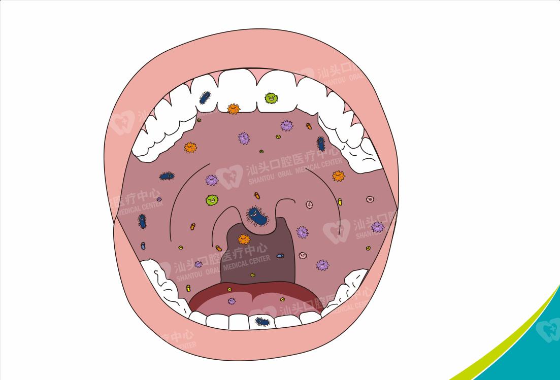 亲吻会传染口腔粘液吗,亲吻会传染口腔疾病吗
