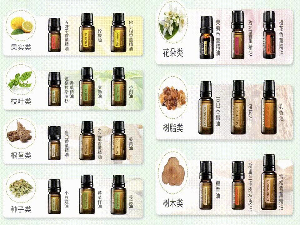 各种香味精油的作用,香遇白茶香护发精油