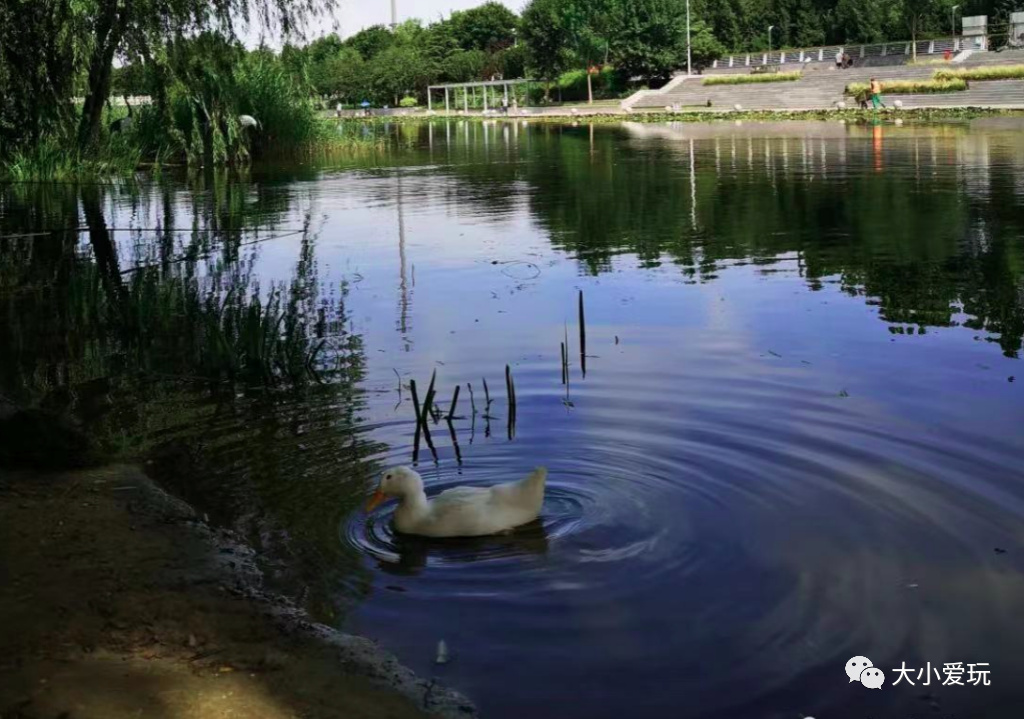 没想到帝都还有这么多各具特色的运动公园！骑行、足球、泵道……