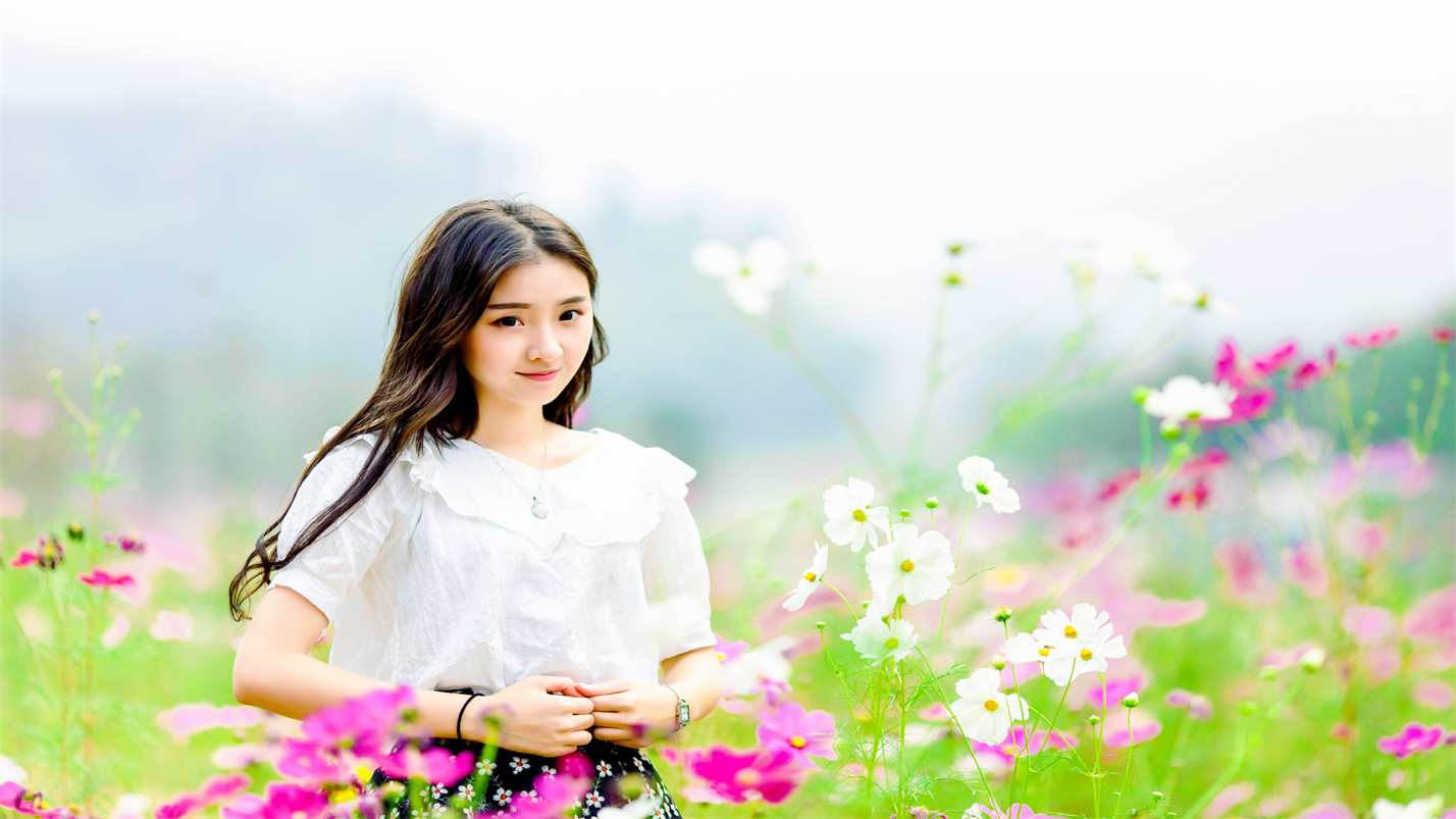 雅茶品禅味,茶烟养性灵