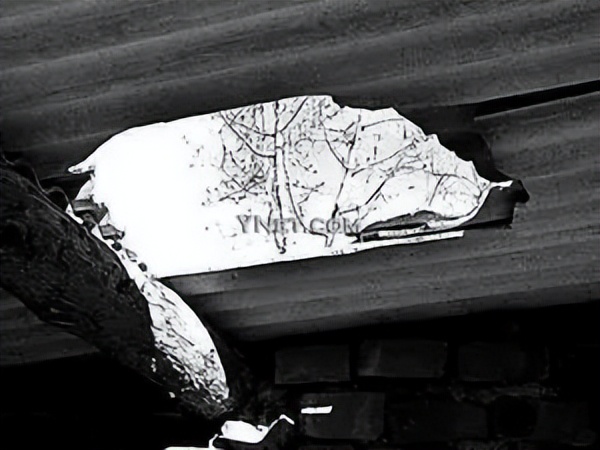 飞机上的秘密飞行员,空姐揭露飞机上的秘密