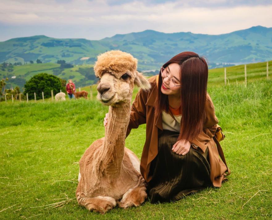 支付宝锦鲤信小呆怎么样了,2018支付宝年度锦鲤信小呆