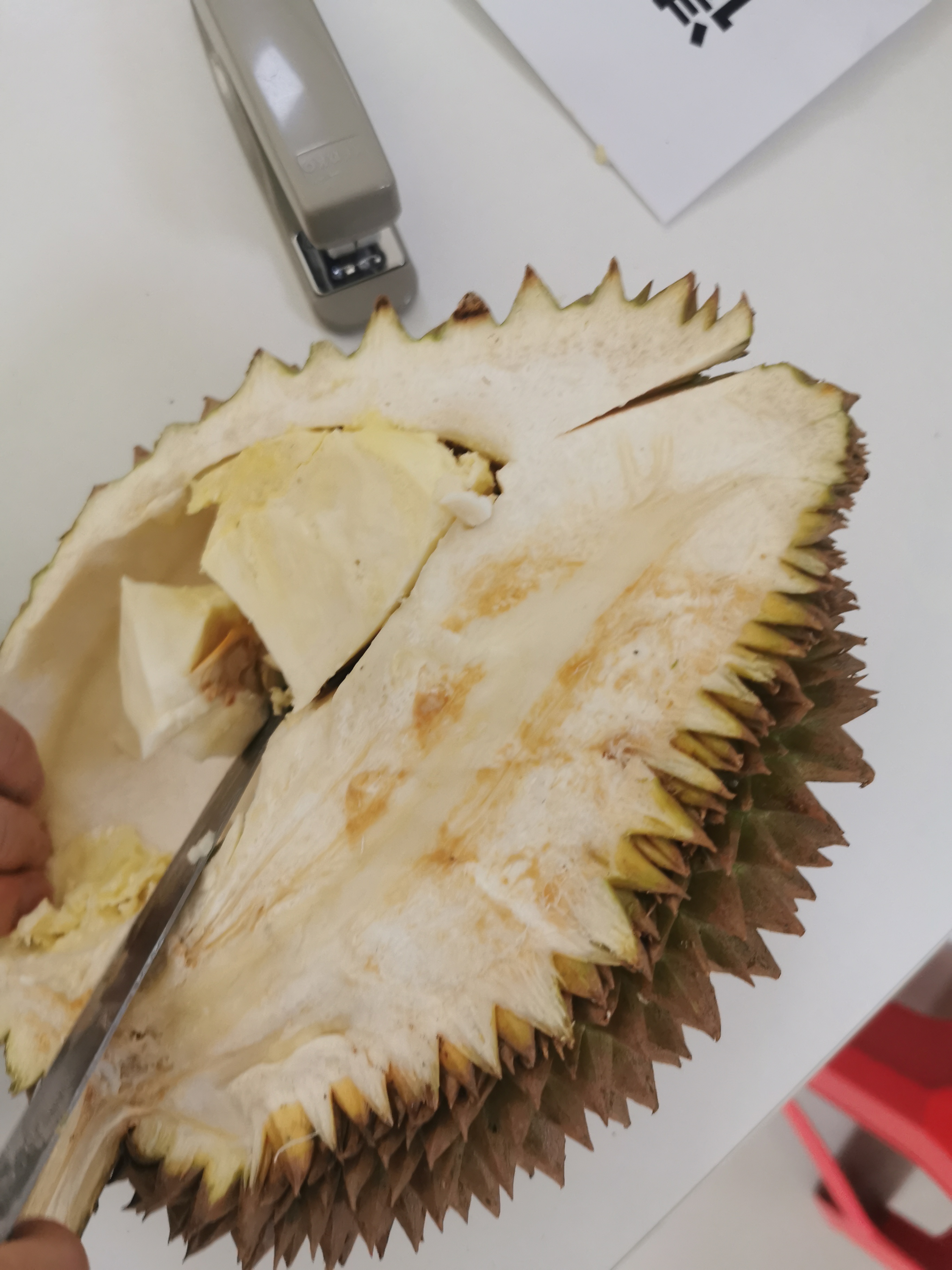 青山印尼项目,青山印尼钢铁厂