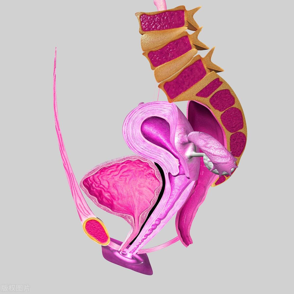 派特灵可以治疗妇科炎症吗,妇科炎症的病因