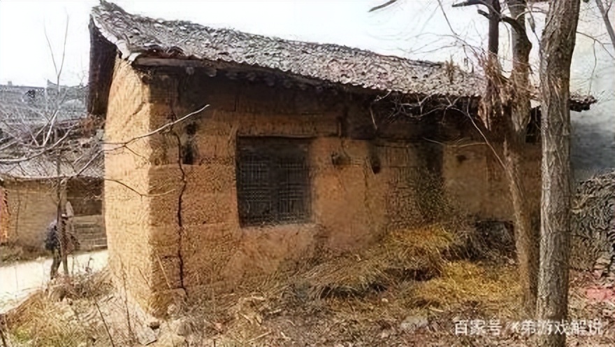 令人震惊的农村杀人案,令人震惊的农民杀人案