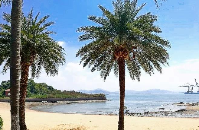 厦门鼓浪屿之行畅游鼓浪屿,去了厦门鼓浪屿的感受