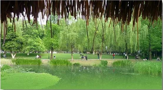 晚上杭州最值得去的五个景点,杭州名胜古迹旅游景点有哪些