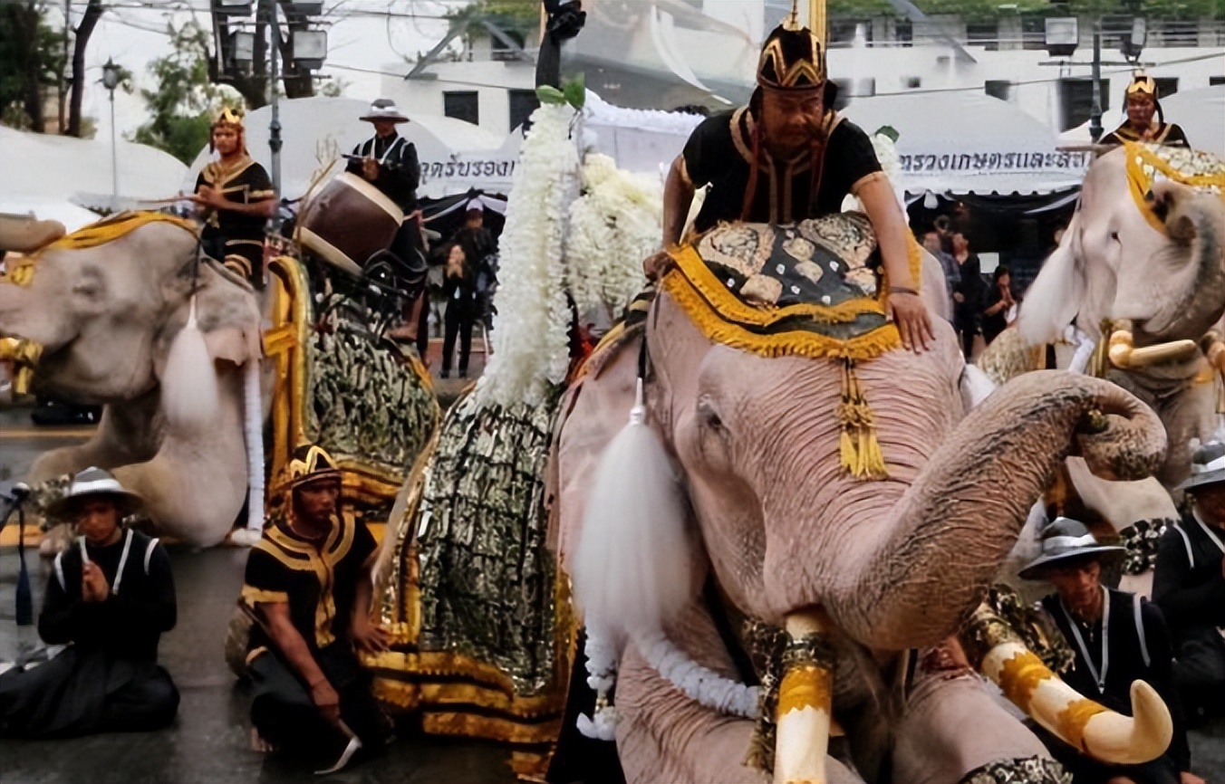 泰国不再被中国人喜爱?背后原因令人深思，网友：怕你噶我腰子！
