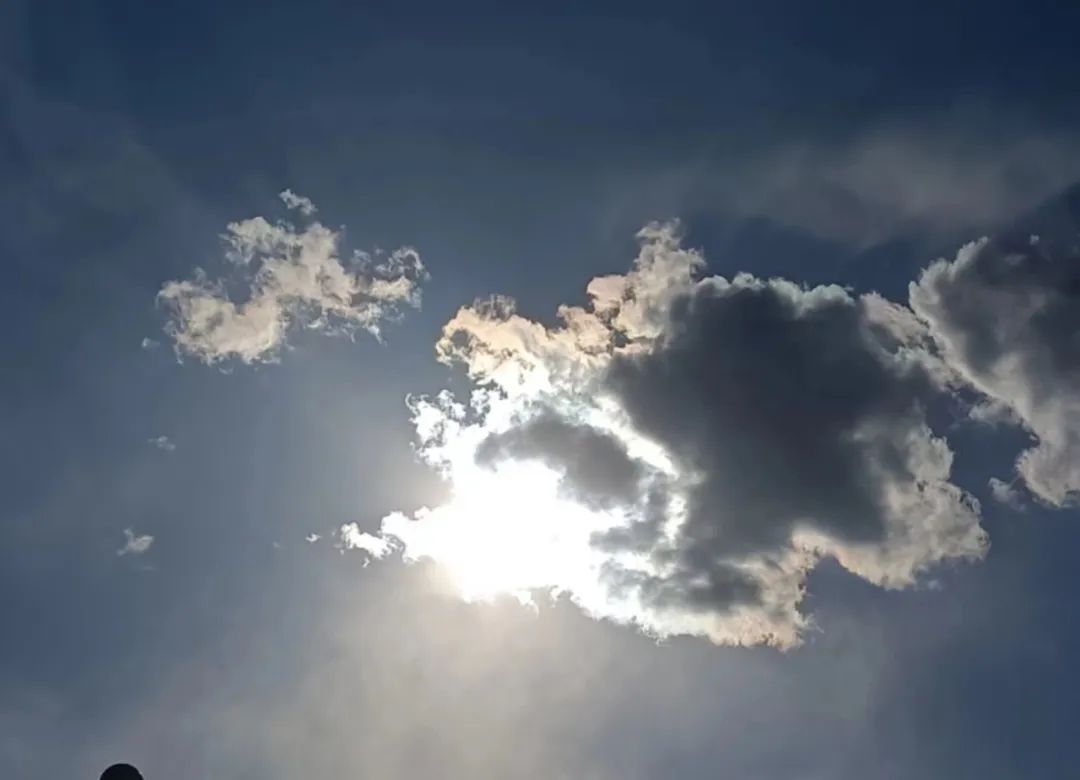 摆摊月入1200万,小男孩摆摊月入3千