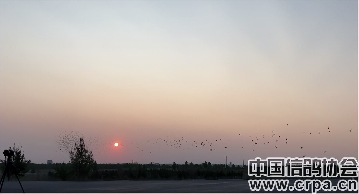 东三省迎来千公里联翔|2023年“国家赛”内蒙古商都赛区今日开战