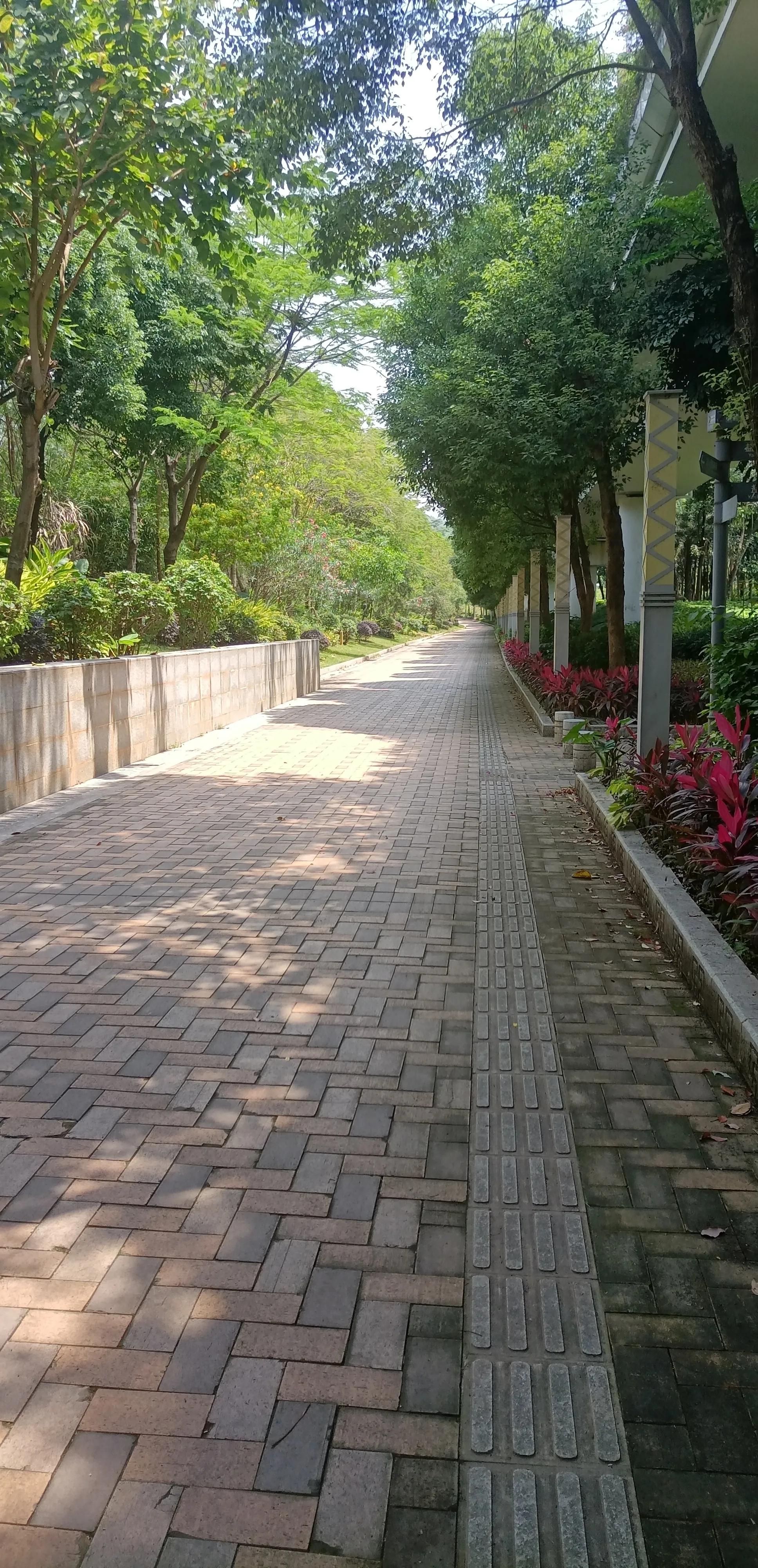 平常心即是道经典语录,平常心即是道南怀瑾