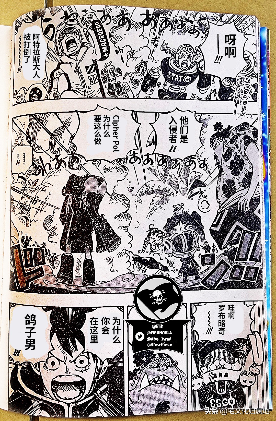 海贼王第1039话情报路飞,海贼王1076话情报路奇