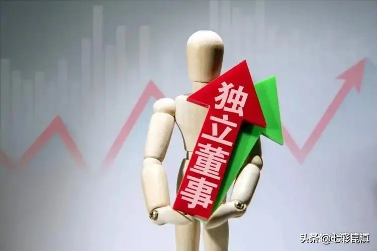 云南上市公司独立董事全画像：有80岁在岗有薪酬不足3万