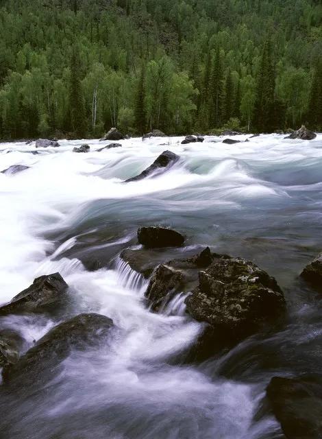 清平乐村居赏析辛弃疾,清平乐村居中卧的赏析
