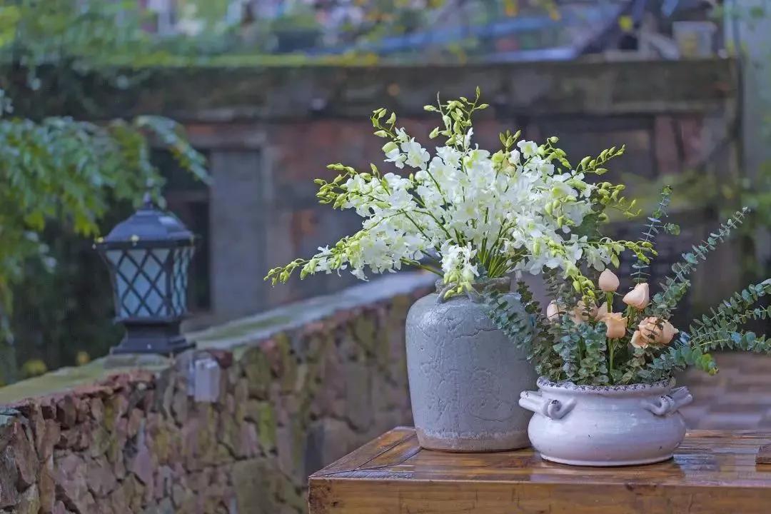 一个院子，一家民宿，闲度余生