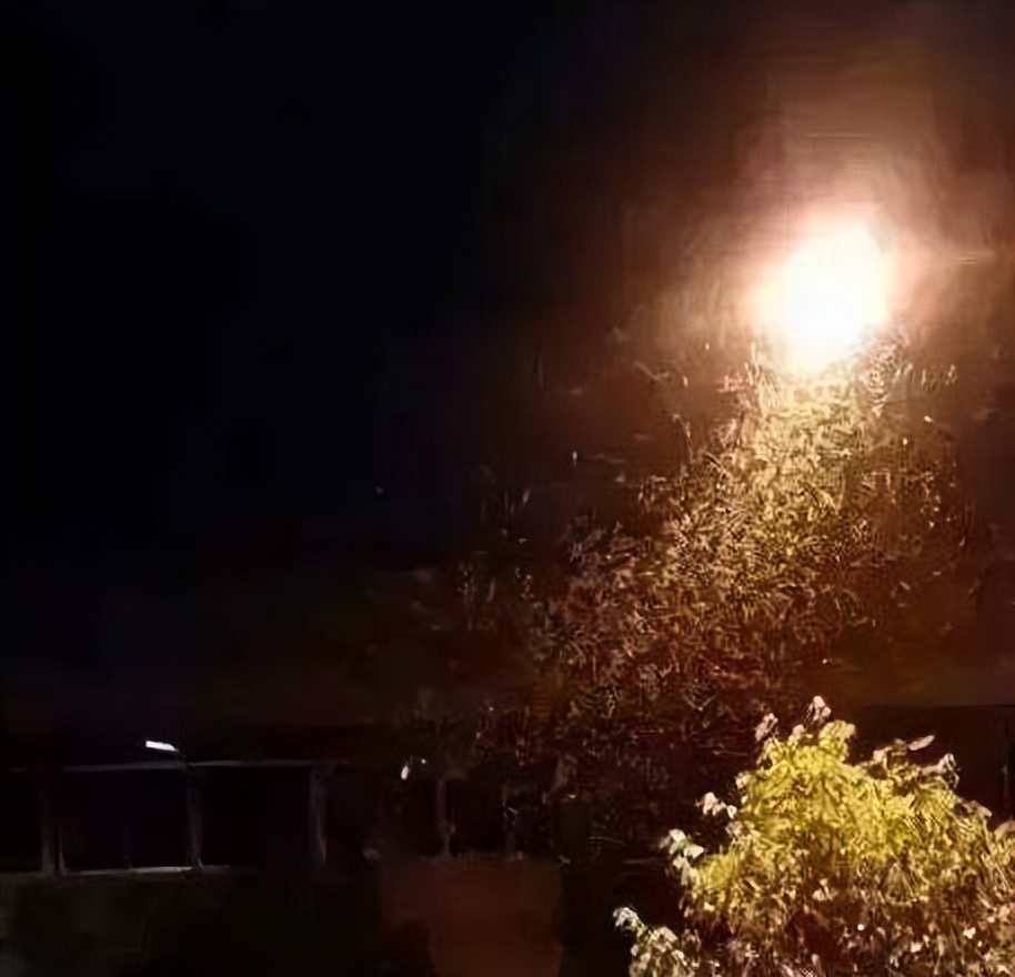 最近白蚁泛滥,上海白蚁是怎样形成的