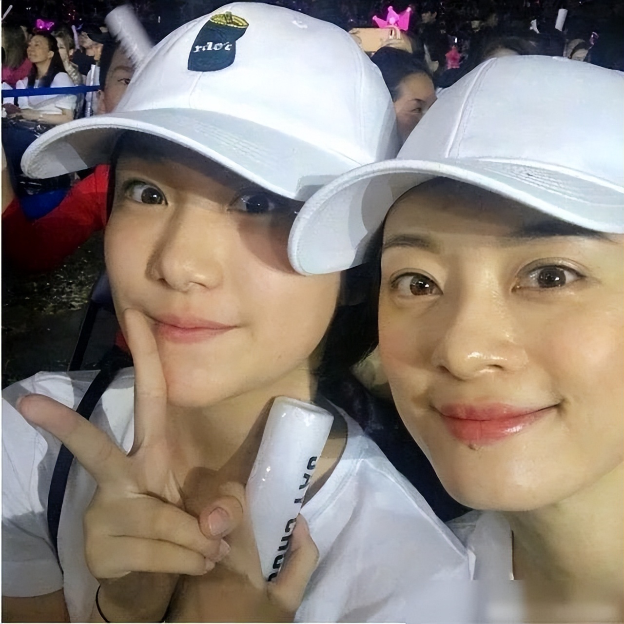 李冰冰姐妹花在娱乐圈打拼靠什么,十对明星姐妹