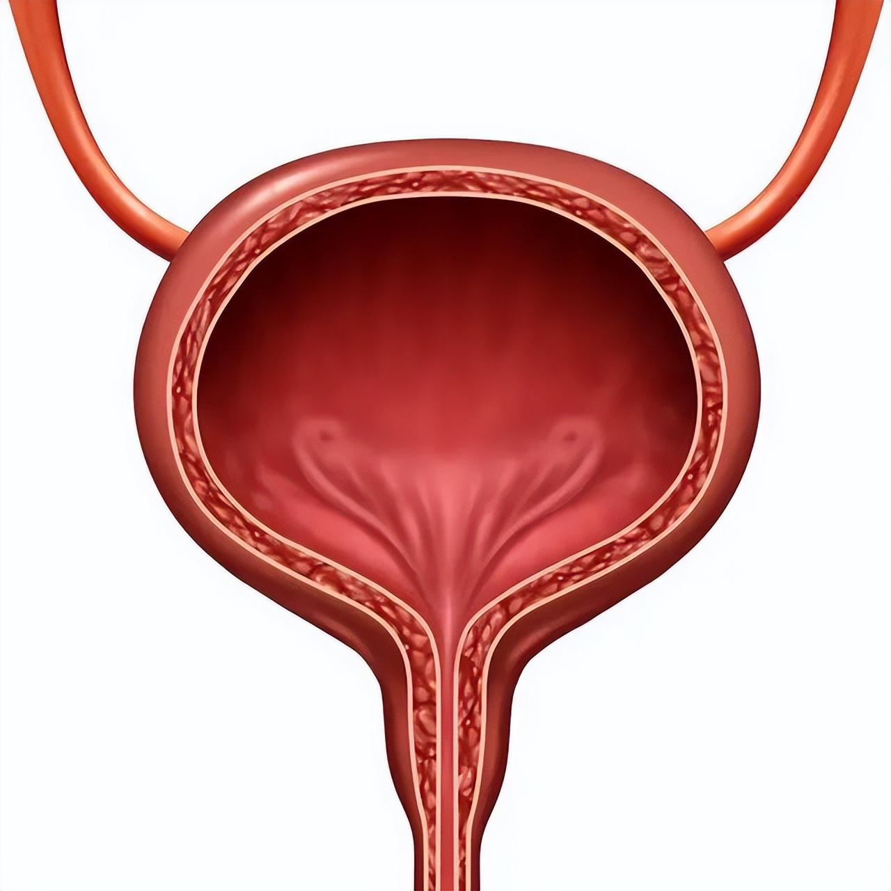 泌尿系统术后腹胀怎么处理,泌尿外科手术前后注意事项