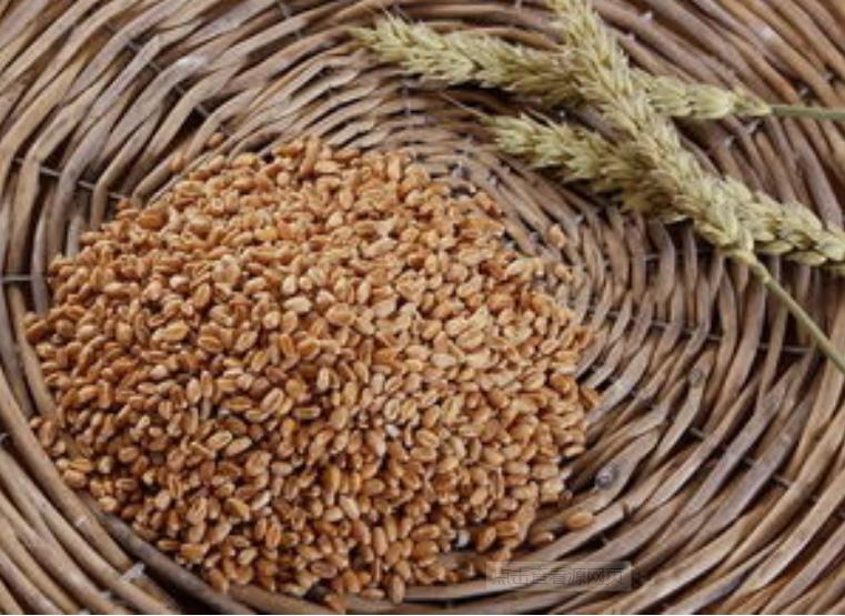 欧洲诡异的红舞鞋事件,诡异的红舞鞋事件