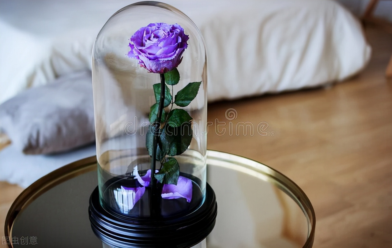 送女朋友玫瑰花一般几朵,表白送几朵玫瑰花合适