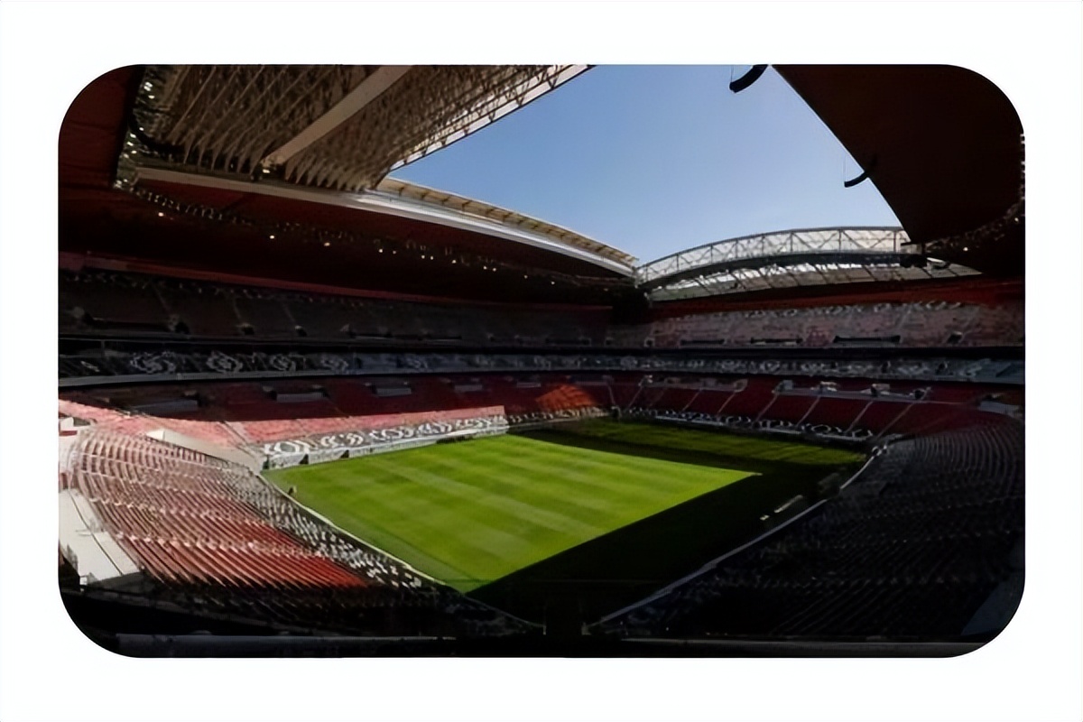 卡塔尔世界杯巡礼塞尔维亚,卡塔尔世界杯巡礼韩国