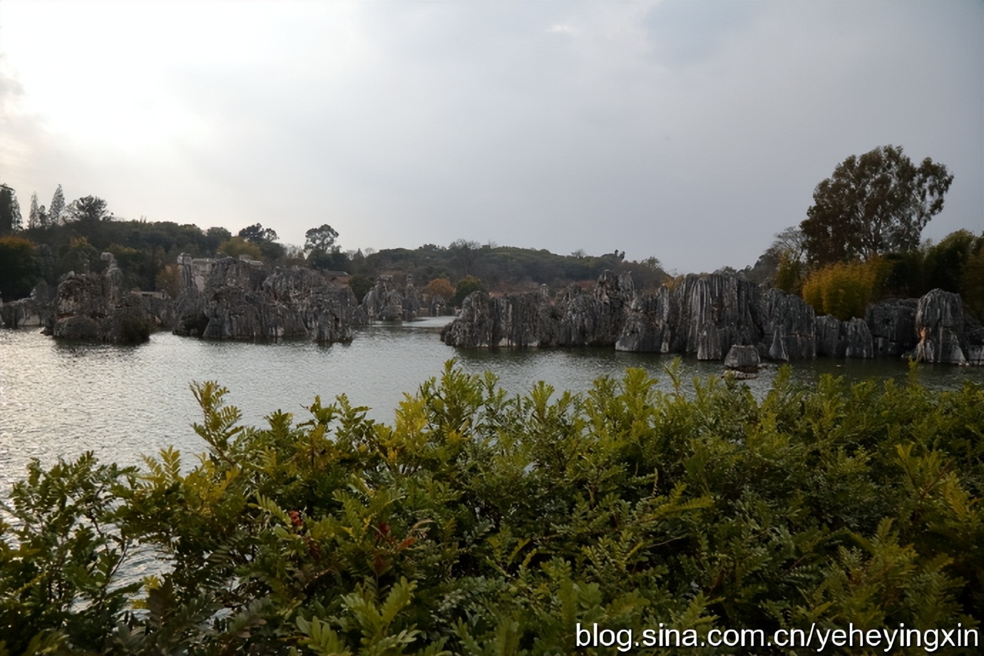 世界地质公园云南石林风景区,昆明石林国家地质公园