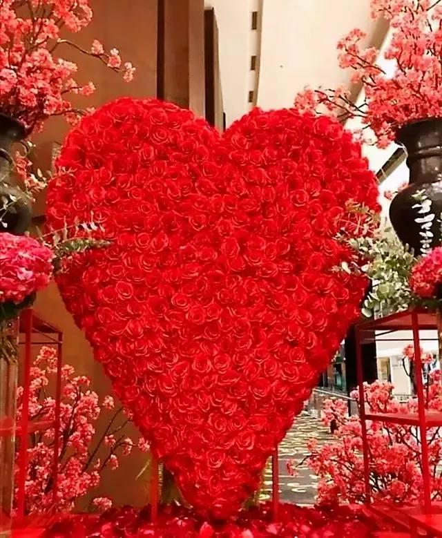 手拿心形图片,心形图片大全