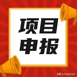 财政项目申报需要哪些资料,政府项目立项和申请专项资金流程