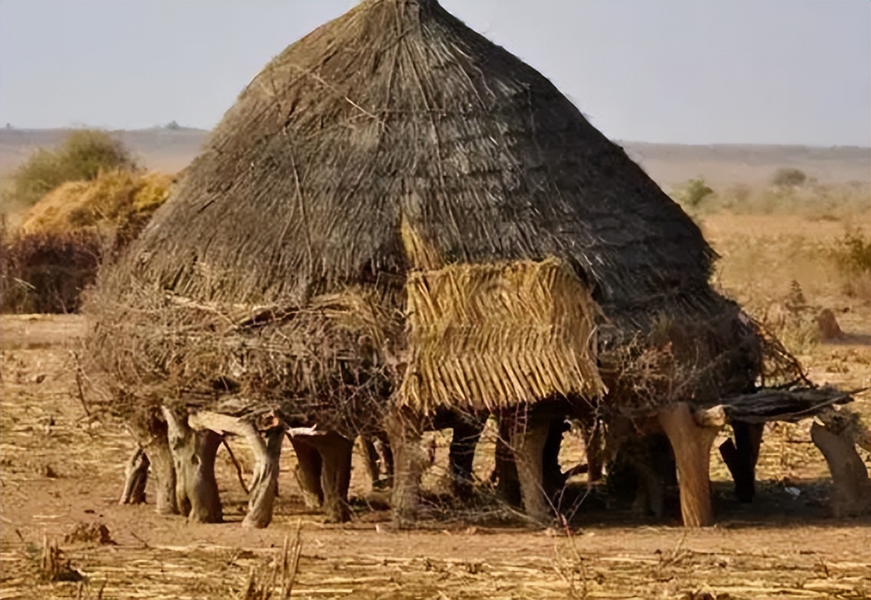 中国人在尼日尔如何生活,尼日尔是个怎样的国家