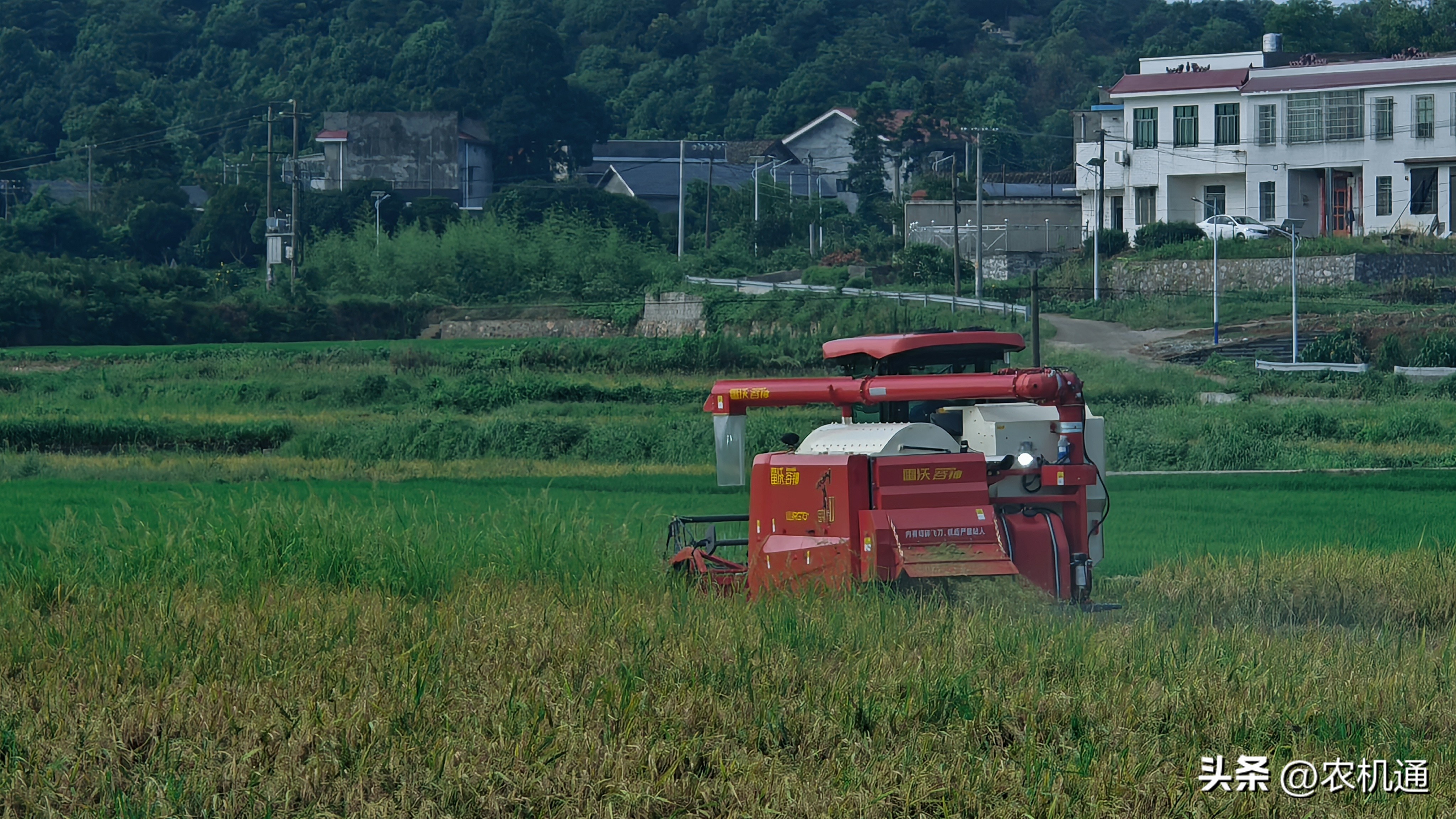 雷沃谷神rg70领航版125马力配置,雷沃谷神领航rg80金刚版收割机