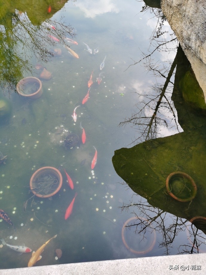 四川眉山彭山有哪些旅游景点,眉山齐山双佛旅游景点推荐