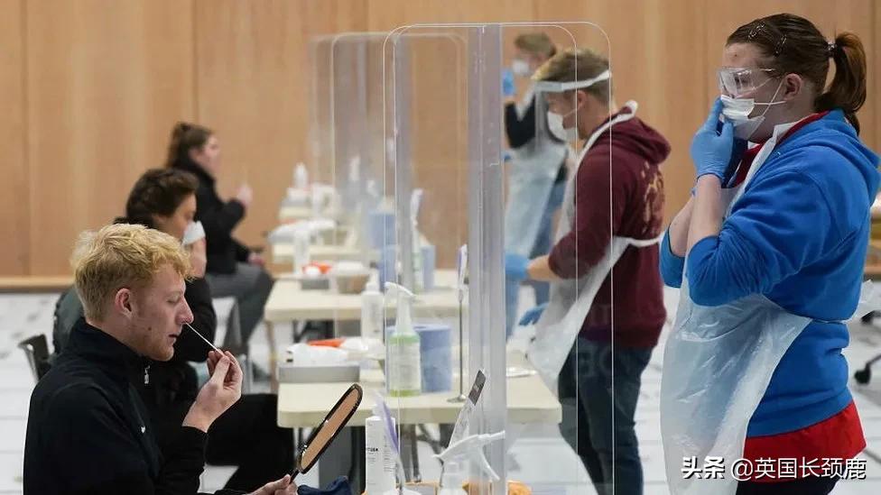 pcr精准检测,pcr实时检测