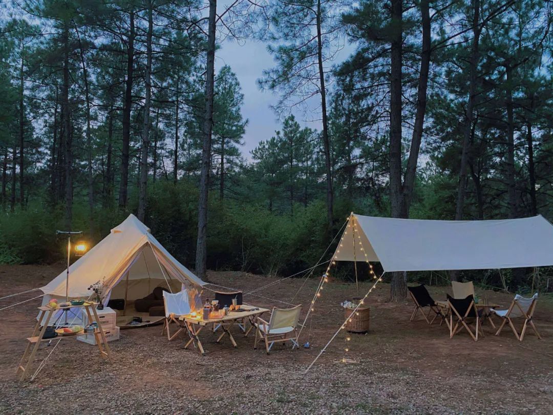 小红书2020年的用户数量,小红书用户人群分析2022