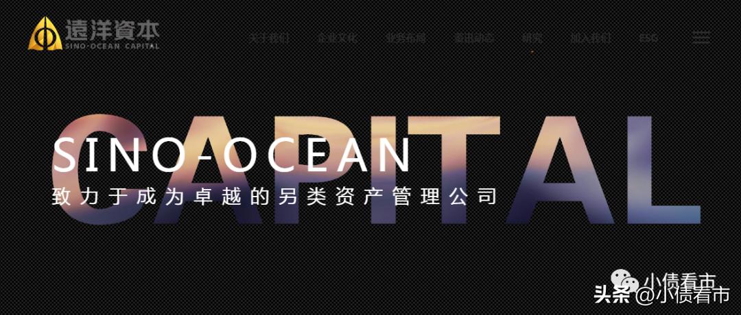 远洋资本最新分析,远洋资本详细介绍