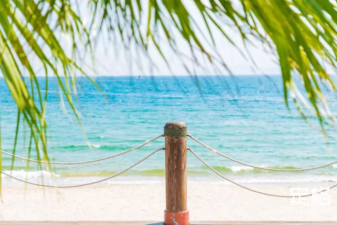 深圳10条海岸线,深圳十大凶险海岸线