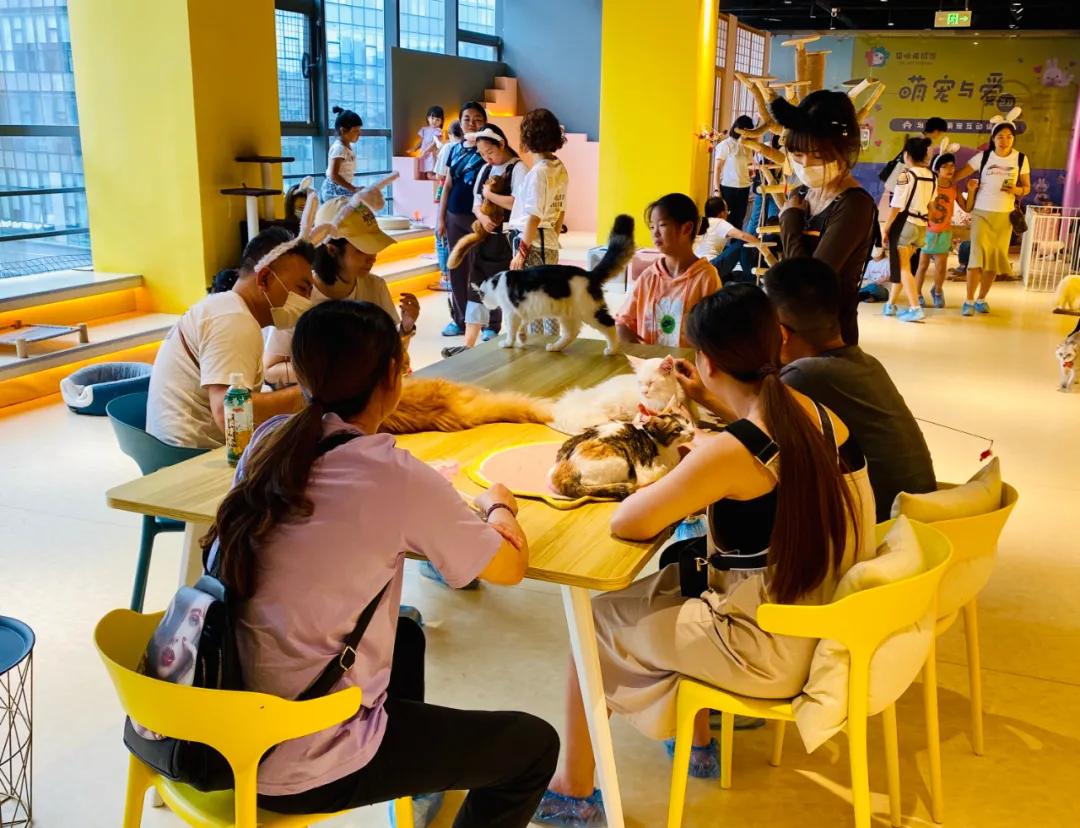 银泰百货新开的店,银泰商业旗下百货店有哪些