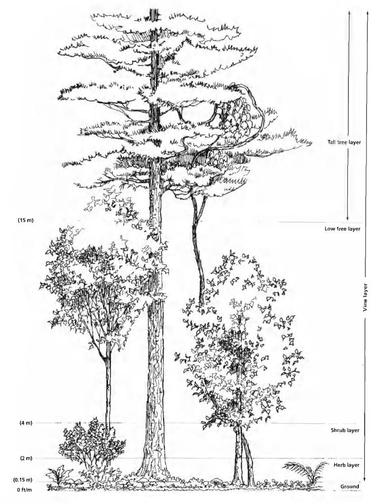 一个可以食用的绿色社区|RijnvlietEdibleNeighborhood