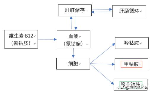 b12腺苷钴胺与甲钴胺副作用区别,一文读懂丁二醇
