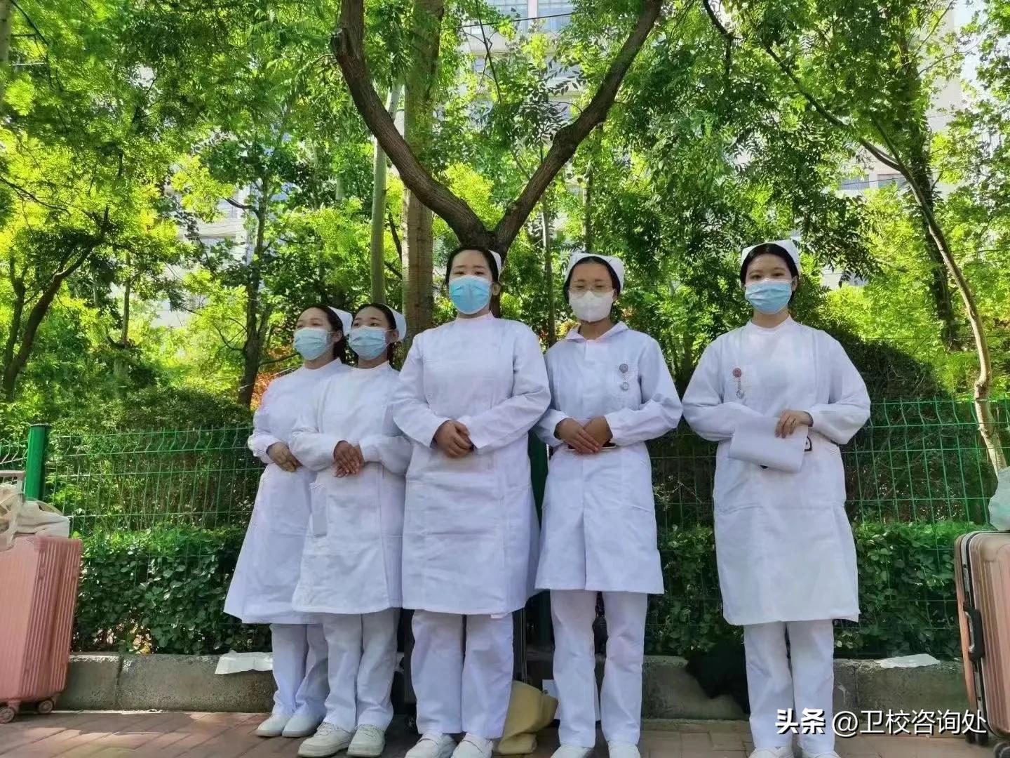 山东专升本护理学考的科目,2021年护理学专升本录取分数线