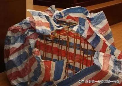 中国铁笼沉尸案纪实,2012年铁笼沉尸案