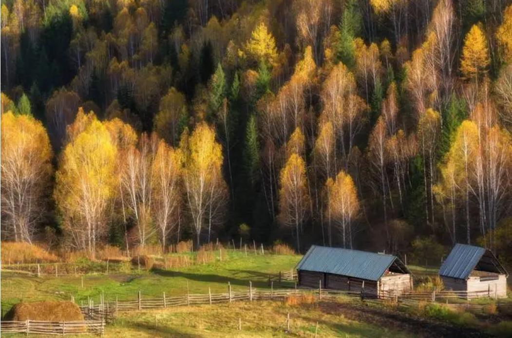 十二星座排名前十最聪明的星座,十二星座哪个星座最漂亮又最聪明