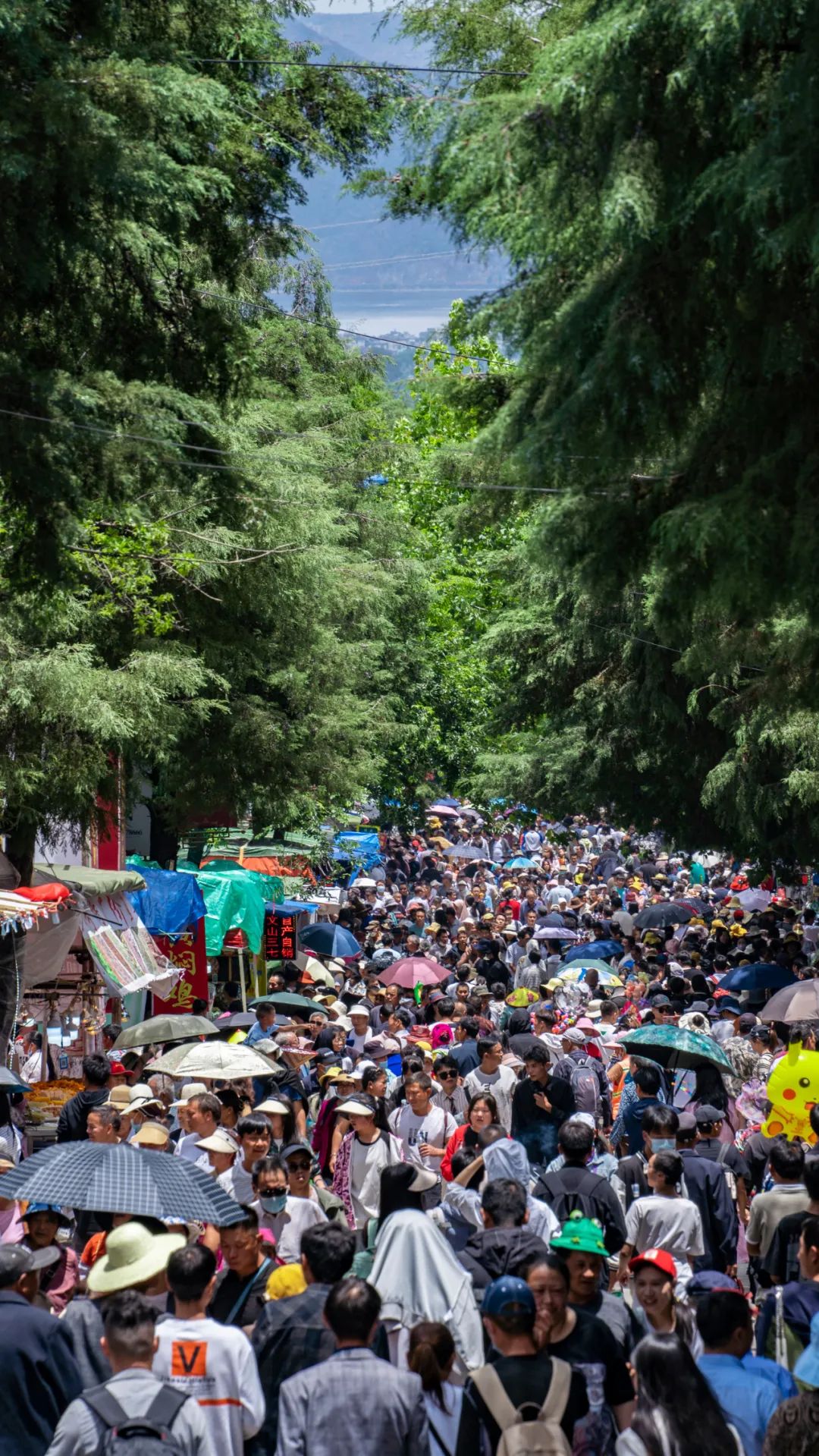 三月街故事,记忆中的三月街