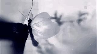 琅琊榜有哪些剧情吐槽,琅琊榜质疑剧情