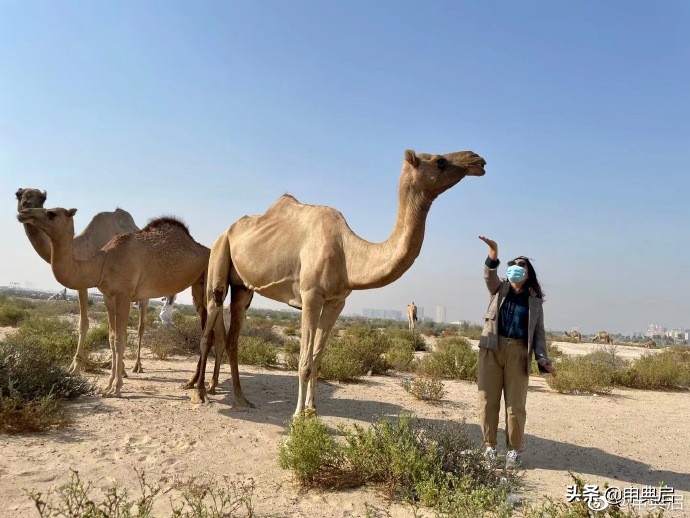深圳上班辛酸,深圳打工仔的经历